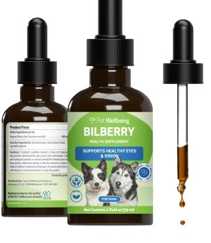 Antioxidant-Rich Supplements