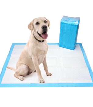 Training Pads (Puppy Pads)